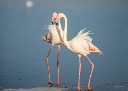 10-Day Serengeti Migration, Culture & Acidic Lakes Safari